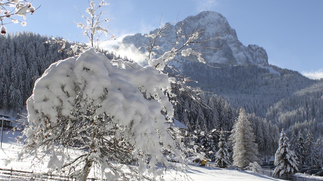 Garni Hotel Rosengarten B&B Selva di Val Gardena Dış mekan fotoğraf